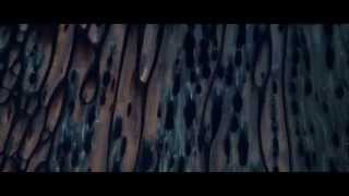 Aquarian - SOMA (Official Video)