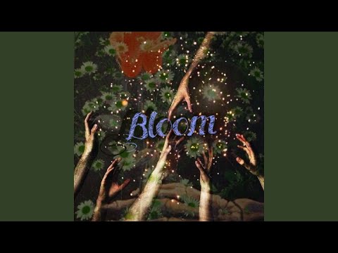 ドワーフローズ 'アプリコット クレメンタイン' 植物