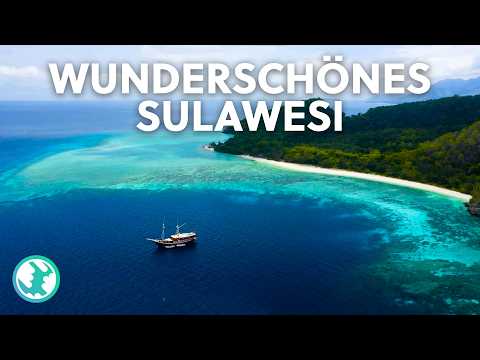 Unglaubliches Sulawesi - Das Leben im Vulkangestein | Doku
