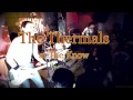 The Thermals -Here's Your Future- Live at The Know