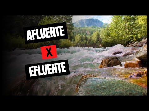 AFLUENTE x EFLUENTE: Qual a diferença?