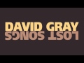 David Gray - "Falling Down The Mountainside"