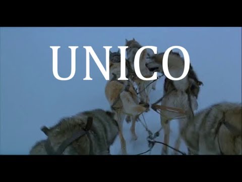 LUTO X TROZOS DE GROOVE - UNICA