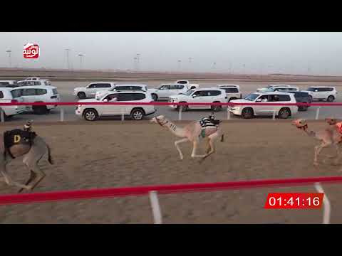  ش 5 (الشاهينيه) لـ سهيل بن نخيرات العامري 2:15:60 , شارة الصندوق 2026/03/14 فطامين الوثبة