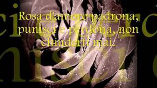 Rosa Rosae Francesco De Gregori by Angels