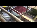 Production Of Beletta Forest Coffee