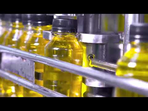 ¡No te quedes sin energía y acelera tu metabolismo con 𝗫𝗕!