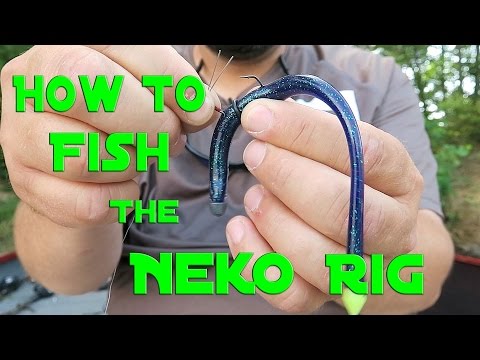 download lagu mp3 mp4 Neko Rig Fishing, download mp3 Neko Rig Fishing free download mp3, download mp3 Neko Rig Fishing
