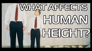 What Affects Human Height? Why are Southern Slavs and Scandinavians So Tall?