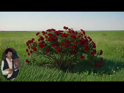 Tri livade - Željko Rupčić