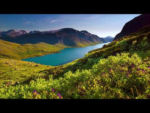 ilan Bluestone feat. Ellen Smith 'Stranger To Your Love (Stoneblue Extended Remix)