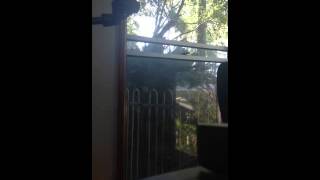 Different Drum cover...