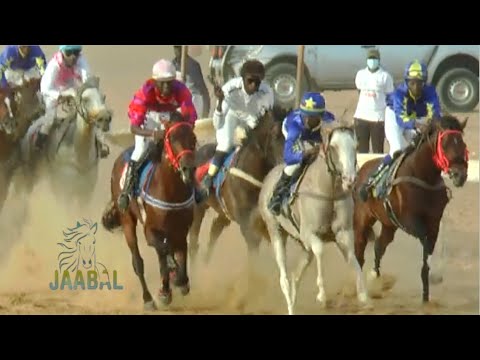 JAABAL COURSE HIPPIQUE SAISON 2025 18e JOURNEE#horse #cheval #sports #love