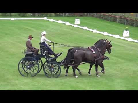 Carola SLATER-DIENER (Germany) - CAI-A***, H2, Drebkau (Germany), dressage, 13 September 2018