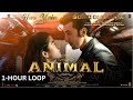 ANIMAL: HUA MAIN- 1 Hour Loop | Ranbir Kapoor | Rashmika M | Sandeep V | Raghav,Manoj M | Bhushan K