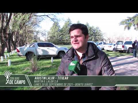 Agustin Lalor -  remate de Martín G. Lalor - Lunes 20 de septiembre de 2021- Benito Juárez