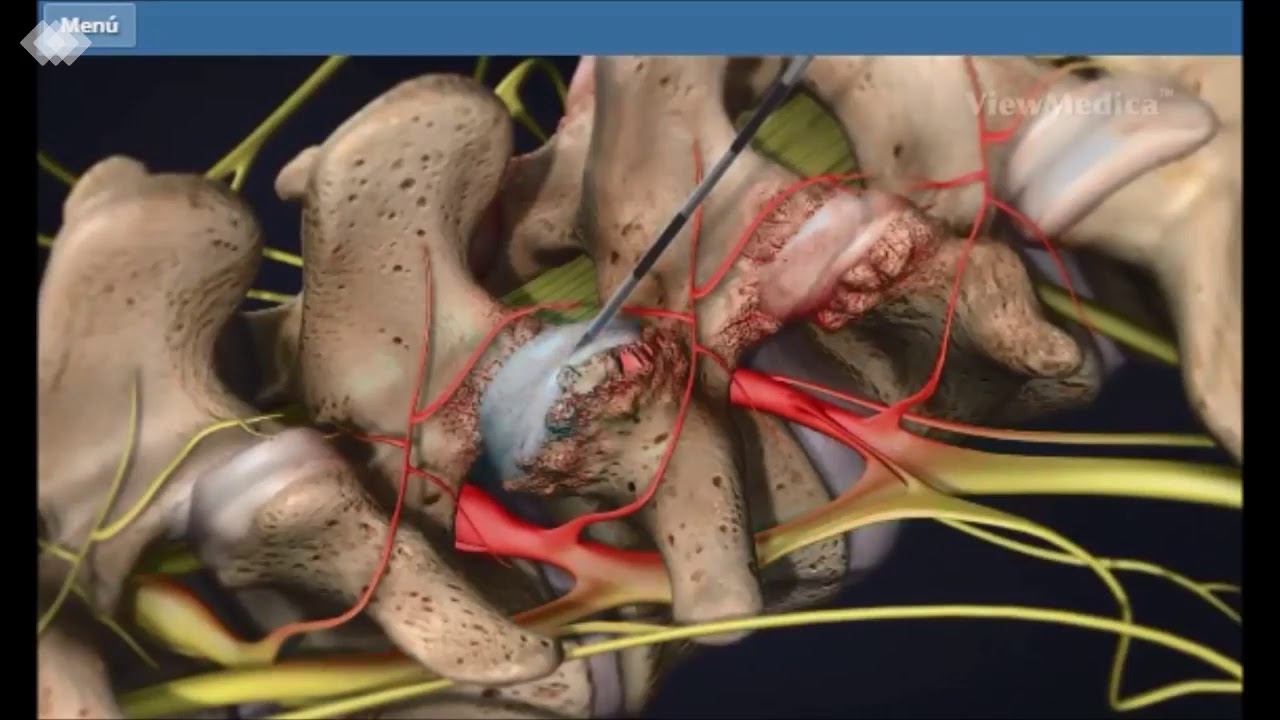 Alejandro Ramos Alaniz-23