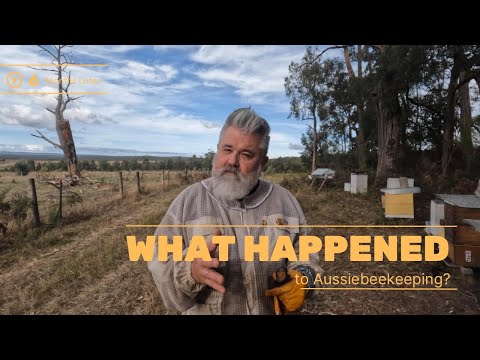 I Vanished for 6 Months – Here’s What Happened in My Aussie Bee Yard. The lost footage. 