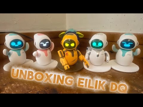 Unboxing Eilik DQ