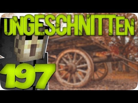 SECRETS & FALLEN | "Ungeschnitten" Minecraft Survival Games #197 [HiveMC | AnyArtLP | Facecam]