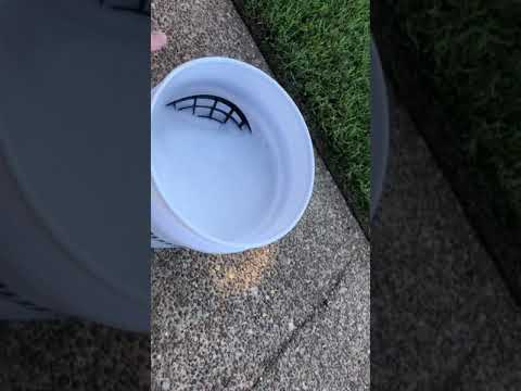 Grit Guard vs. Cyclone Dirt Trap Comparison Settled!