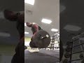 Raw Behind the back Deadlift 405 lbs × 10 reps DEADSTOPS