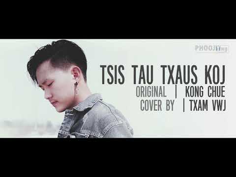 Tsis Tau Txaus Koj - Txam Vwj (Cover)
