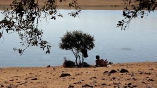 Freedom Festival 2017 - Promo IV