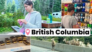 Beautiful British Columbia - yarn stores, hikes with Toaster, and Nanaimo bars