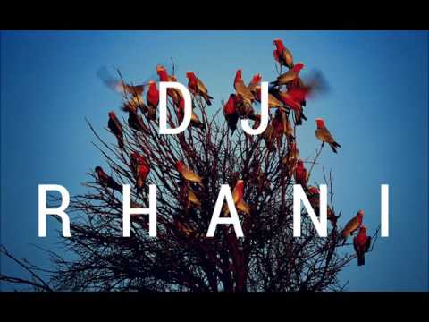 DJ Rhani/Mehanes - Odagiri Joe