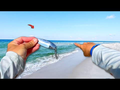 Tossing a Spoon Along the Beach and This is What I Found!