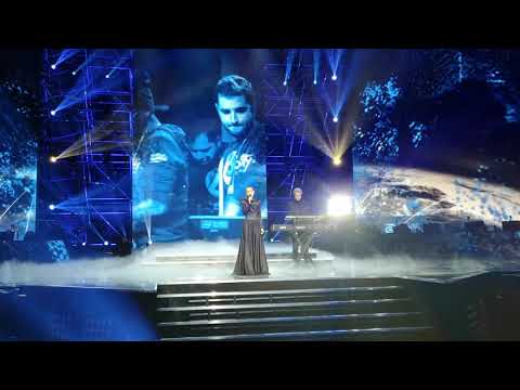 IEM Katowice 2019 CS:GO Major Opening Ceremony Best view