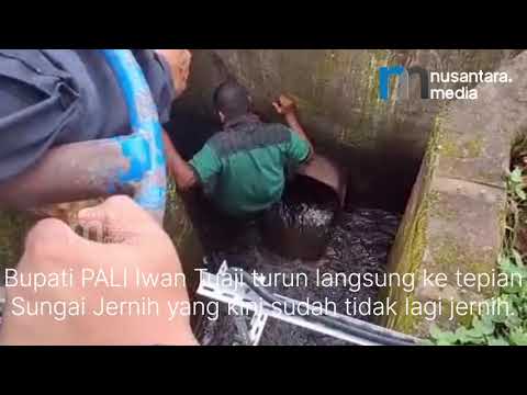 Wakil Bupati PALI Sidak Langsung Limbah Batubara di Sungai Jernih, Sawah Warga Terancam Rusak