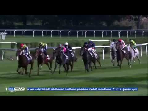 2016.10.16 Premio Del Piazzale (ITA) - Voice of Love