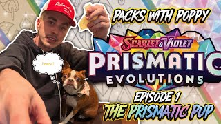 Packs with Poppy! Episode 1: The Prismatic Pup