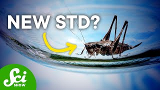 6 Accidental Discoveries You've Probably Never Heard Of