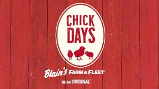 Chick Days are Back at Blain's Farm & Fleet | Order Now!