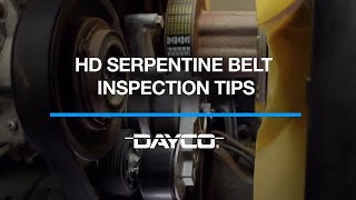 Dayco - HD Serpentine Belt Inspection Tips