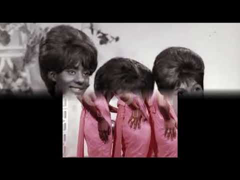 Let Love Live(A Little Bit Longer) - Velvelettes - 1965