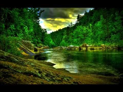 Dan Gibson — Cool Forest Rain