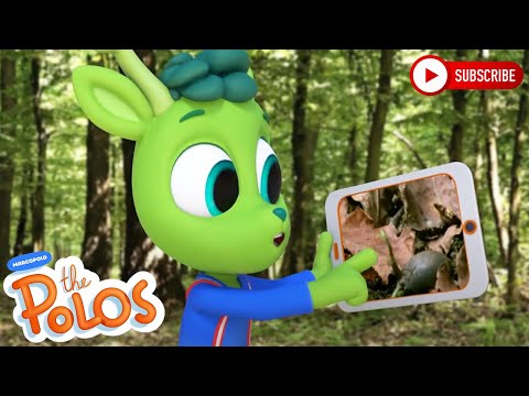 Learning about different plants | The Polos | Adventure Learning | Learn At Home - Kingdom Kids Zone, Little Learners - The Polos and MarcoPolo Learning