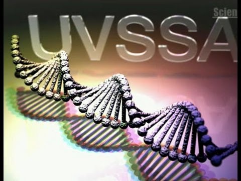 サイエンスニュース2012（新着情報） 日焼けの原因となる遺伝子を発見！〜進む日焼けメカニズム研究〜（2012年7月19日配信） | Science Portal - 科学技術の最新情報サイト「サイエンスポータル」
