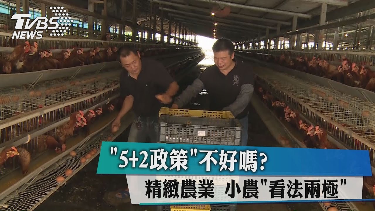 「5+2政策」不好嗎? 精緻農業、小農看法兩極