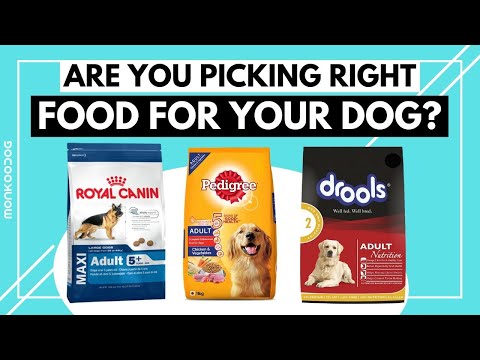 How to select the right food for your dog. II Dry Adult Dog Food Review ll Monkoodog