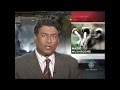 Mystic Medicine The Therapeutic Potential Of Magic Mushrooms