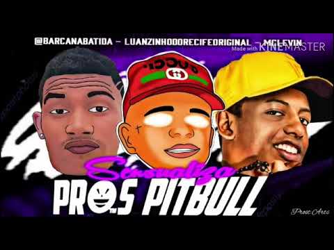Luanzinho Do Recife, Barca Na Batida, MC Levin - Sensualiza Prós Pitbull  Música