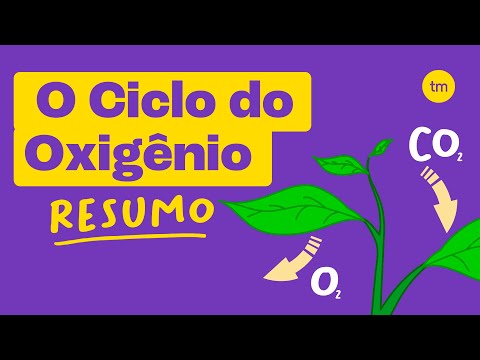 OXYGEN CYCLE | Understand in a few minutes