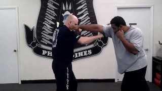 Scott Shields Martial Arts Kali Empty hands series