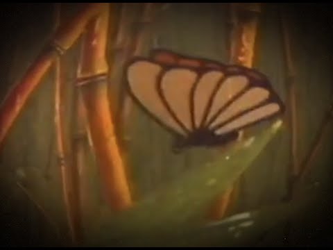 Johnny Stimson - Butterflies (Official Lyric Video)