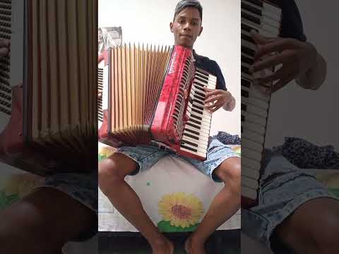 Chorinho de Noca Do Acordeon